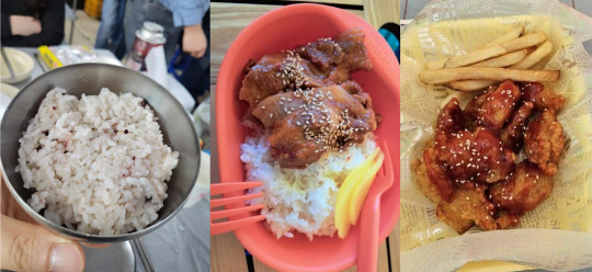 (왼쪽부터)대천한수산시장 공기밥, 여의도 벚꽃축제 제육덮밥, 경주 벚꽃축제 닭강정 이미지.보배드림 캡쳐.